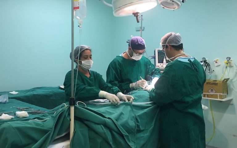 Ruth Cardoso volta a ser destaque na captação de órgãos em Santa Catarina