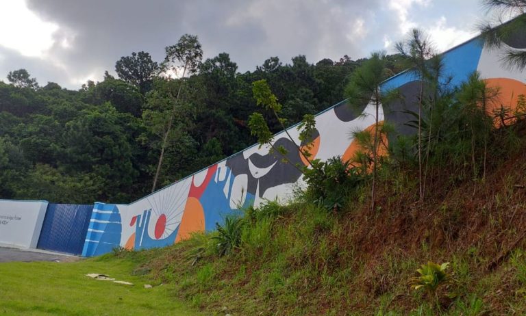 Marcelo Urizar assina painel artístico na Avenida Panorâmica