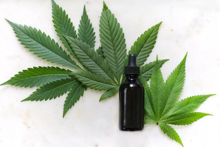 Câmara: plantio de maconha para fins medicinais tem parecer favorável