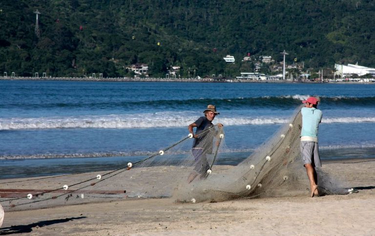 Governo federal lança novo sistema de recadastramento de pescadores profissionais