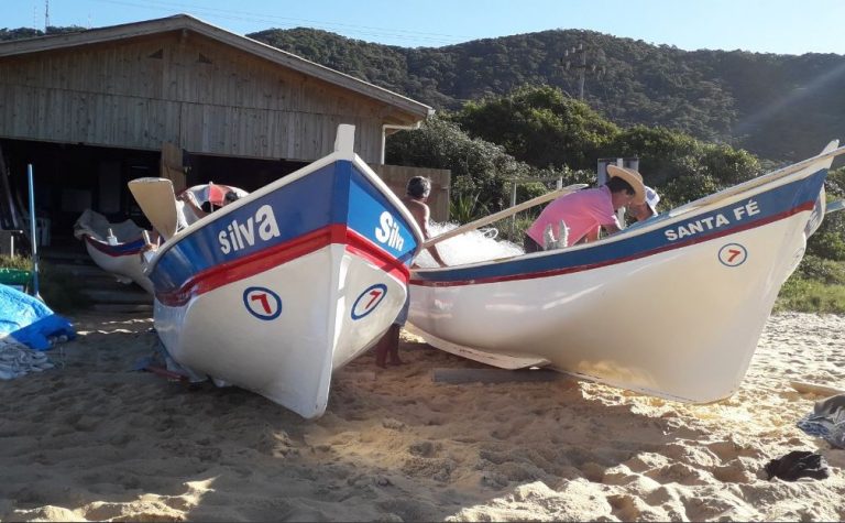 Pesca da tainha inicia neste sábado. Temporada vai até julho