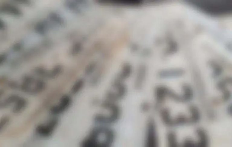 Perdeu a placa do carro em BC? Saiba como recuperar