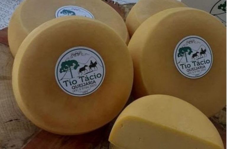 Queijo serrano de São Joaquim é destaque no mercado nacional