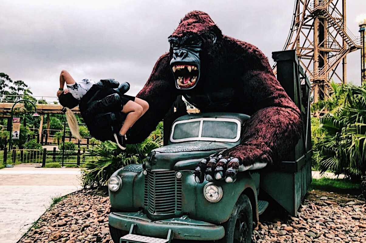 Queda de menino em atração no Beto Carrero World: o que se sabe e o que  falta saber, Santa Catarina