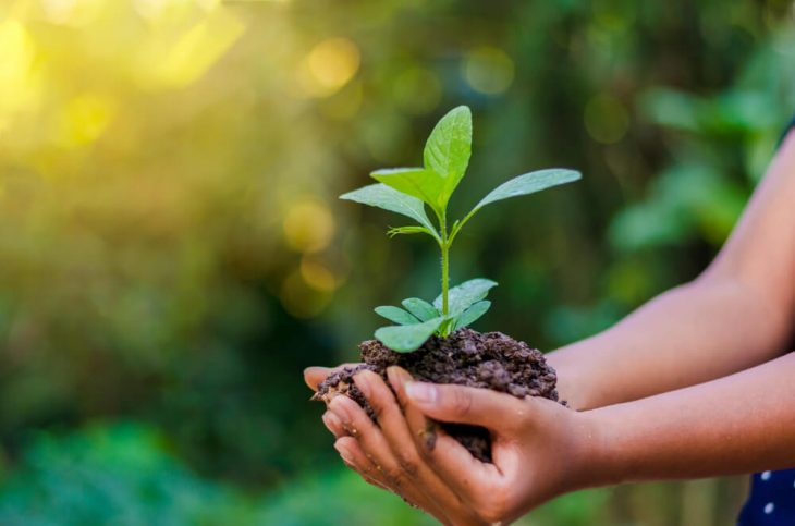 Ação voluntária para a Semana Mundial do Meio Ambiente