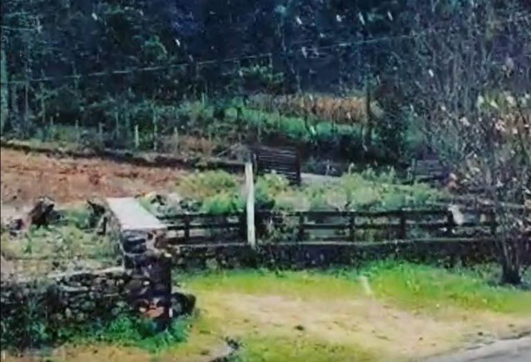Segunda-feira começa com temperatura negativa e neve em Santa Catarina