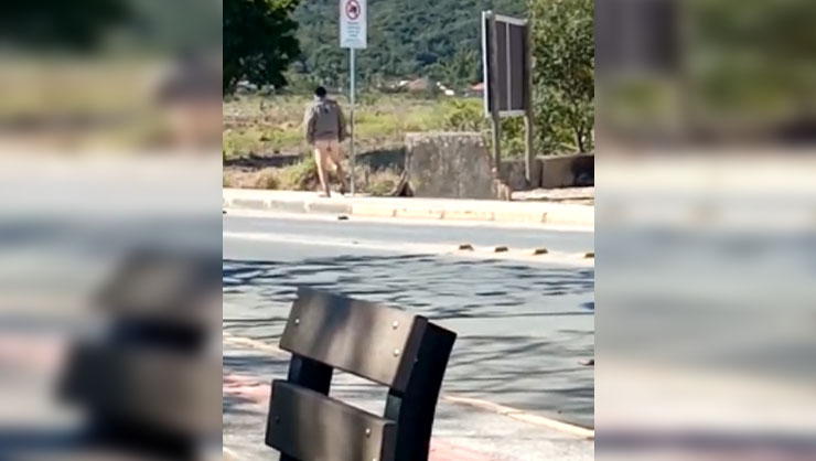 VÍDEO: Homem surta e anda de calcinha pelas ruas de Tijucas