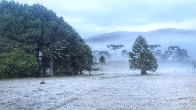 Nova onda de frio: Temperaturas podem chegar a -12 na semana que vem