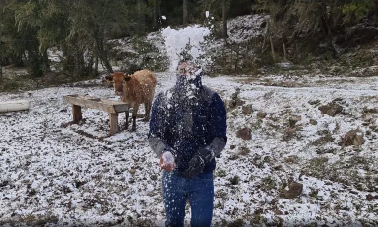 Neve em SC pode voltar com temperatura de 0ºC no fim de semana