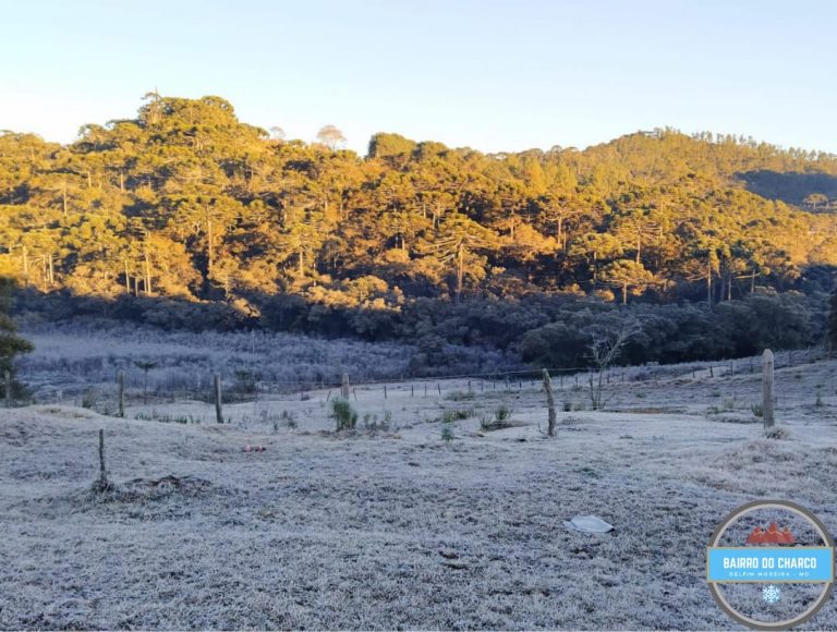 Frio intenso chega ao Brasil; sensação térmica pode chegar a -25°C na Serra Gaúcha