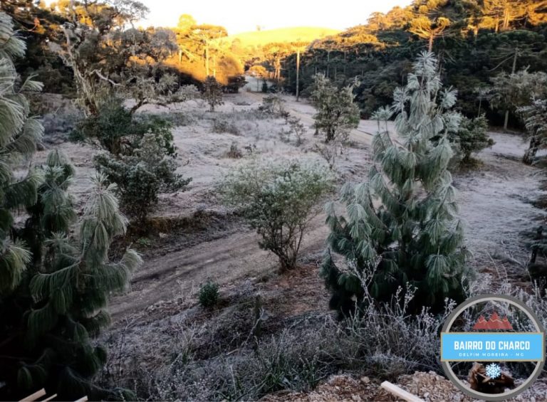 Com -10°C, cidade de MG registra a segunda menor temperatura do ano no Brasil