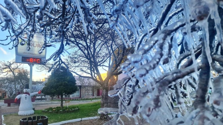 FOTOS: Mais de 50 cidades amanhecem com temperaturas negativas em SC