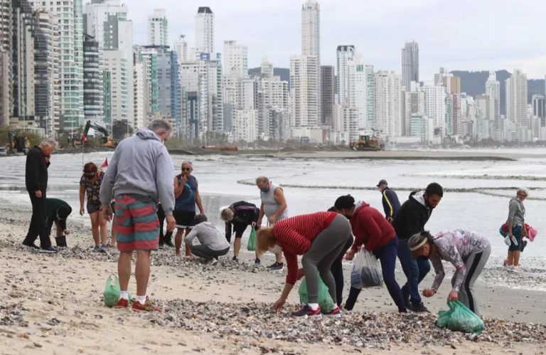 Moradores e artesãos saem com sacolas cheias de conchas encontradas na areia durante obra de alargamento