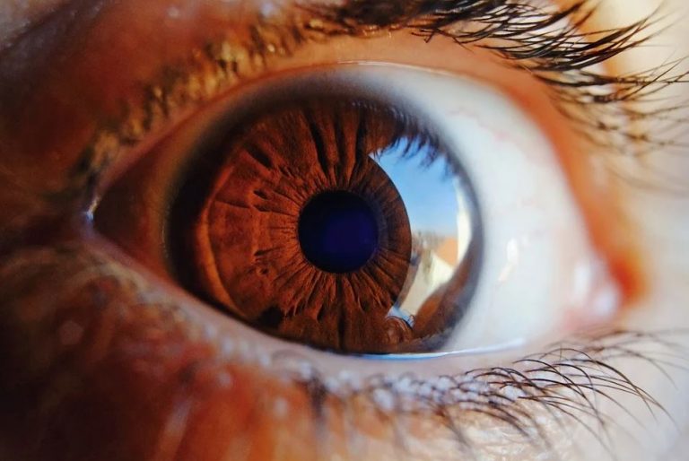 Pesquisa detecta coronavírus pela análise de retina