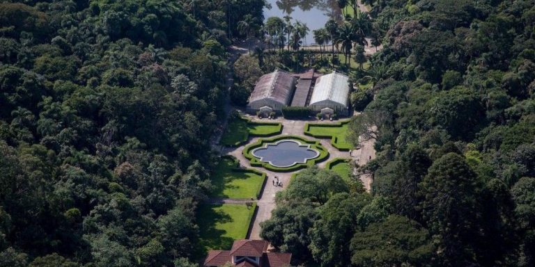 Nova gestão do Zoológico, Jardim Botânico e Zoo Safari de São Paulo planeja investir mais de R$ 400 milhões e triplicar visitantes