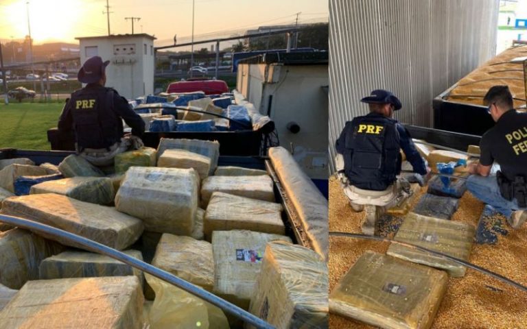PRF e PF fazem a maior apreensão de maconha da história de SC