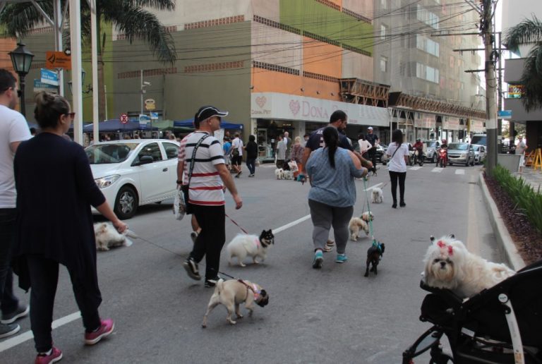 Cãominhada acontece neste sábado em Balneário Camboriú