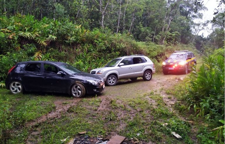 PRF descobre esconderijo de carros roubados e recupera três veículos na BR 101