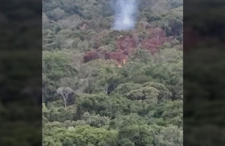 Moradores denunciam crime ambiental no Cedro em Camboriú