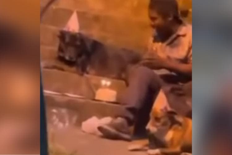 VÍDEO: Morador de rua canta parabéns com cães, divide bolo e chora