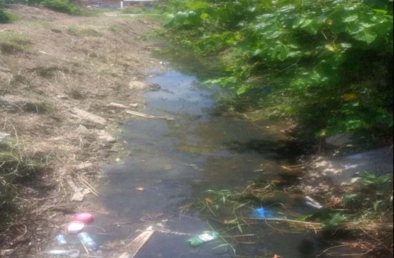 Vereadora de Bombinhas denuncia conivência da prefeitura com crimes ambientais