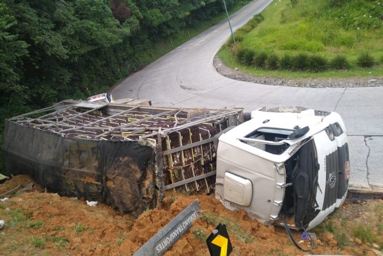 Caminhão carregado com frango vivo tomba na Serra Dona Francisca
