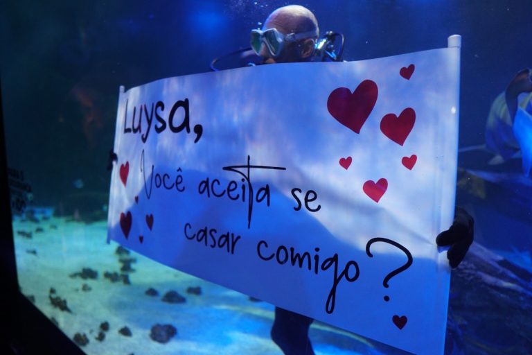 Pedido de casamento é feito dentro do aquário dos tubarões no Oceanic