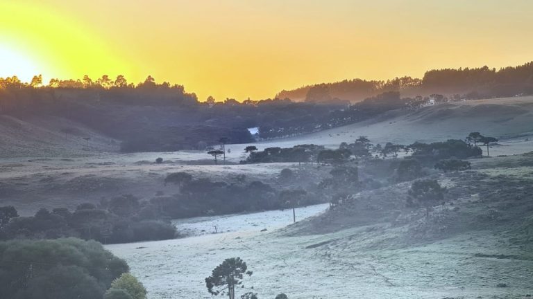 SC amanhece com mínima abaixo de 5°C e geada