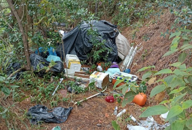 DCOI apura denúncia de ocupação irregular na Estrada da Rainha