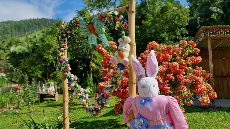 Terceira edição Osterbaum começa neste domingo em Camboriú