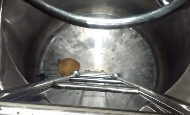 Homem morre após entrar em tanque de produção de cerveja