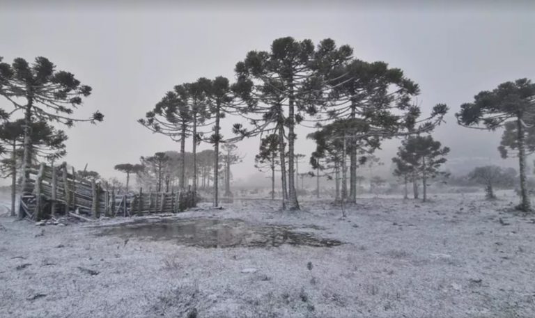 Vai nevar em SC? Entenda as condições que devem possibilitar neve na próxima semana