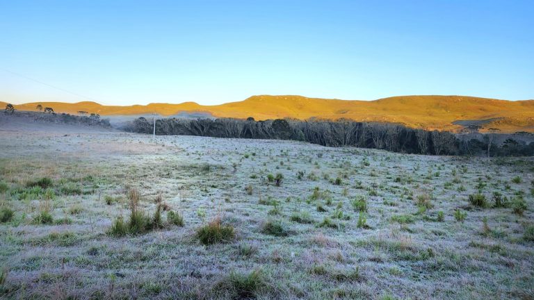 Serra Catarinense registra temperaturas negativas nesta sexta-feira