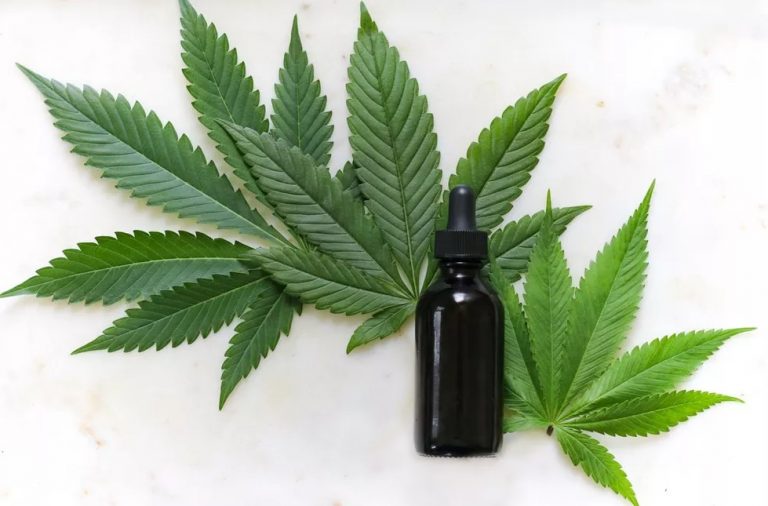 STJ autoriza pacientes a plantar maconha para fins medicinais. Entenda.