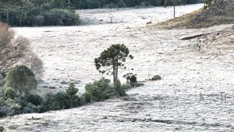 Cidades têm amanhecer gelado no primeiro dia de Julho