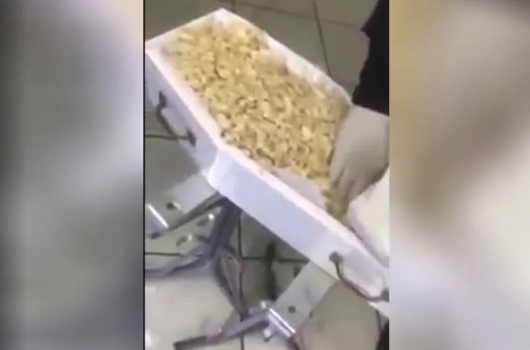 Durante velório, família encontra serragem no lugar do corpo de bebê