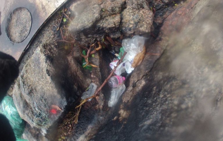 Plástico é o principal poluente dos costões de Balneário Camboriú