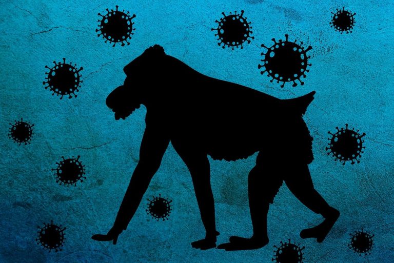 Saúde de BC faz alerta sobre a varíola dos macacos