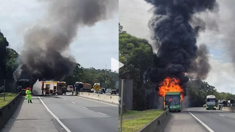 Ônibus da Catarinense pega fogo e fica destruído na BR 376