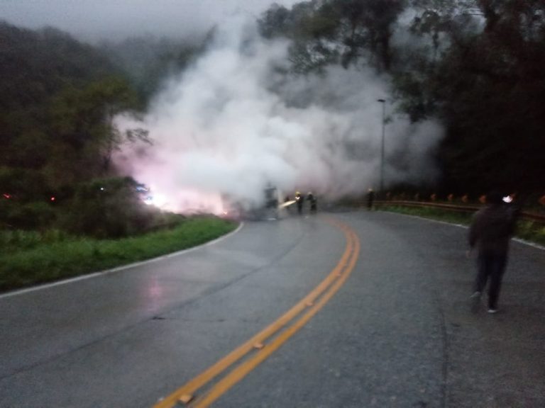 VÍDEO: Cavalos morrem carbonizados em incêndio de veículo na Serra Dona Francisca