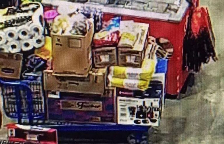 Mulher é presa após tentar furtar mais de R$ 2600 em compras