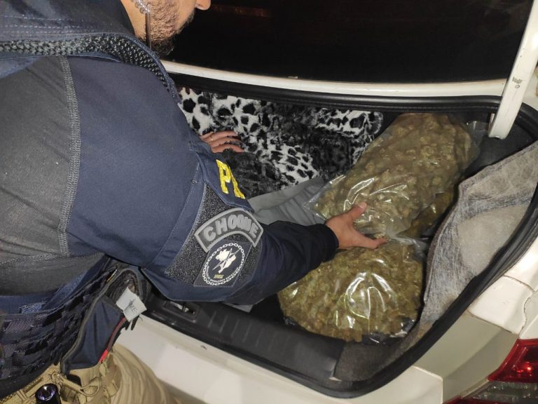 PRF apreende 3,1 quilos de skunk escondido em taxi