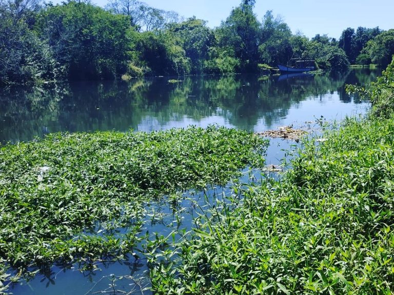 Artigo: Até quando vai perdurar a poluição do Rio Camboriú?