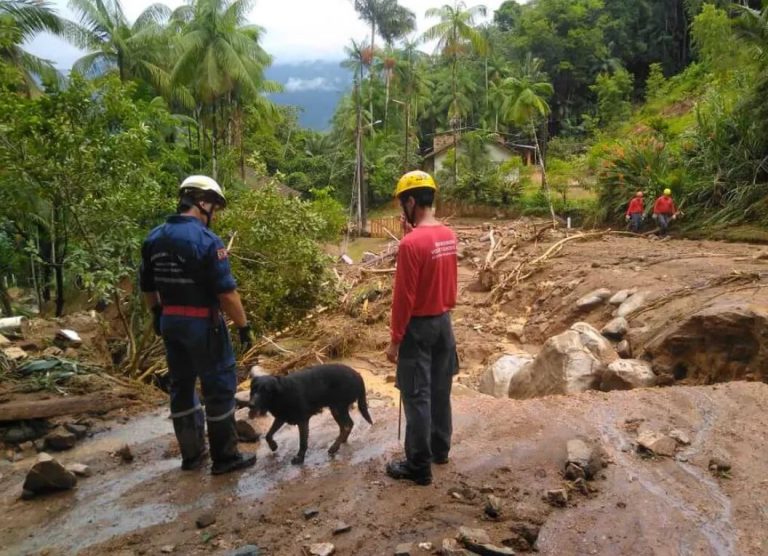 Defesa Civil de Santa Catarina mantém alerta de chuva intensa até a madrugada desta quinta-feira