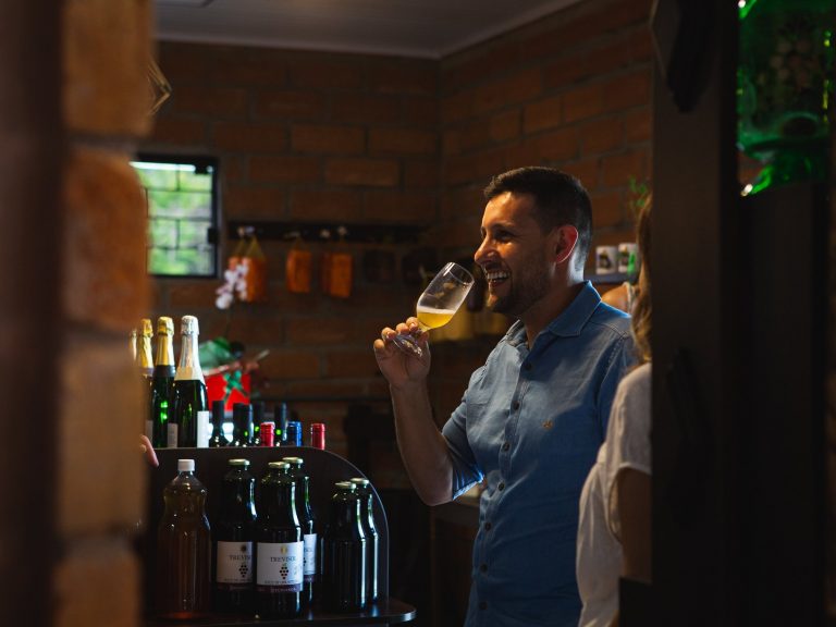 Santa Catarina e seus vinhos únicos: Da uva Goethe e de Altitude