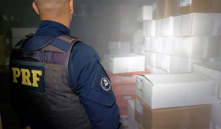 PRF localiza quatro toneladas de camarão argentino contrabandeado em Balneário Piçarras