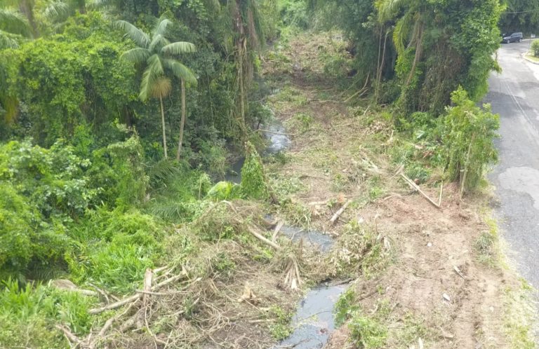 MP investiga desmatamento em limpeza de córrego no Bairro Bandeirantes