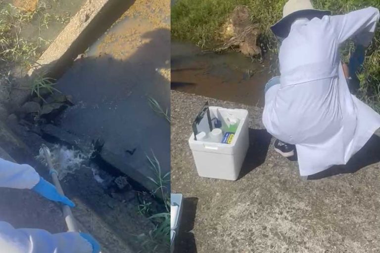 Amostras de água pluvial na Praia do Estaleiro estão dentro do esperado, afirma Secretaria do Meio Ambiente