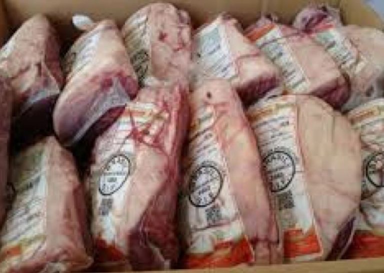 GM de Itajaí prende mulher roubando 13 peças de picanha