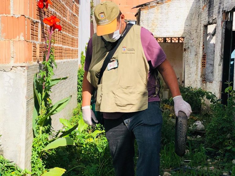 Camboriú já soma 73 casos de dengue. Atenção aos cuidados preventivos!